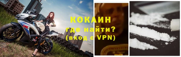 дживик Богданович