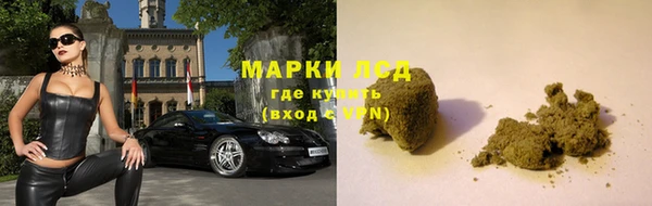 дживик Богданович