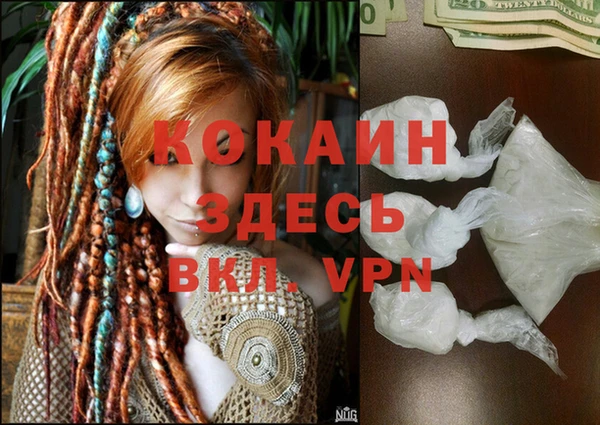 дживик Богданович
