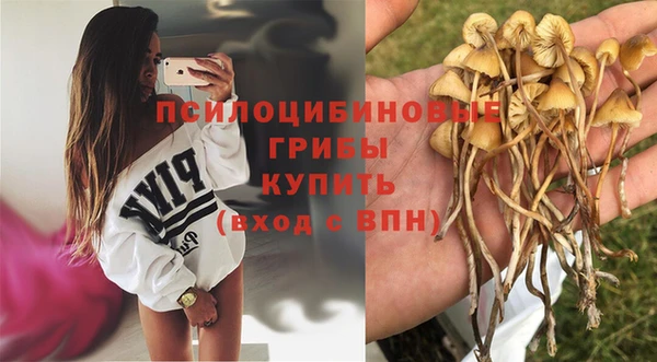 не бодяженный Богородск