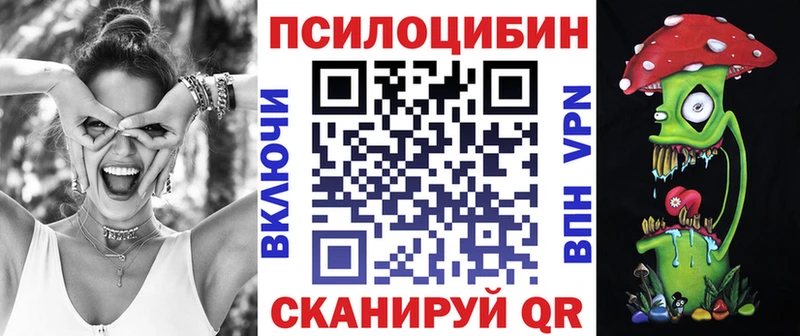 Псилоцибиновые грибы Psilocybe  Купить где  Гвардейск 