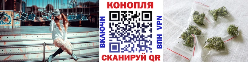Купить где  Гвардейск  Канабис OG Kush 
